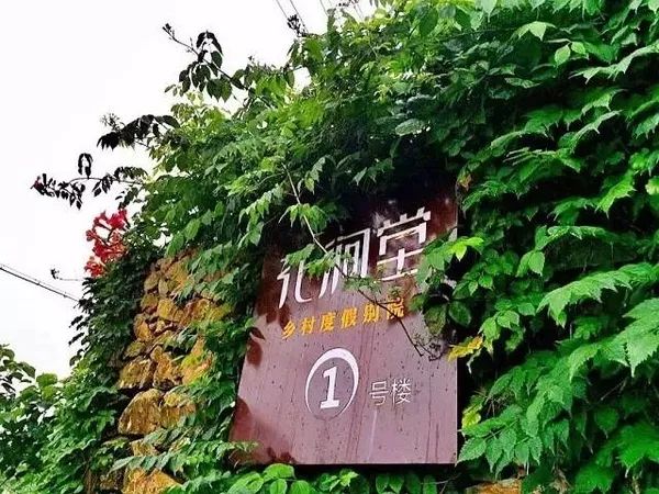 台州最值得去的民宿,台州独特淡竹民宿推荐