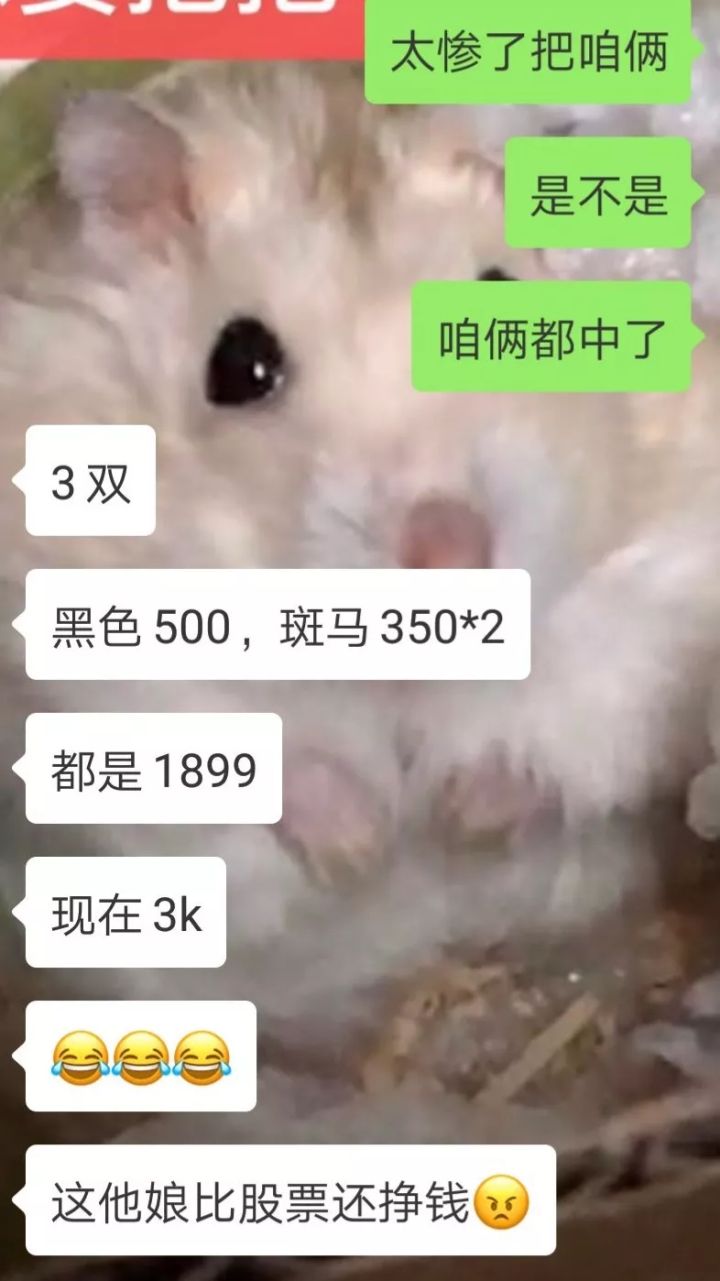 如何看待炒鞋的市场,怎么看待炒鞋暴跌