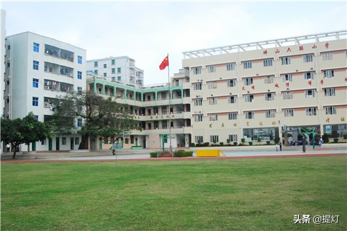 深圳坪山小学排名2019,深圳坪山小升初小学排行榜