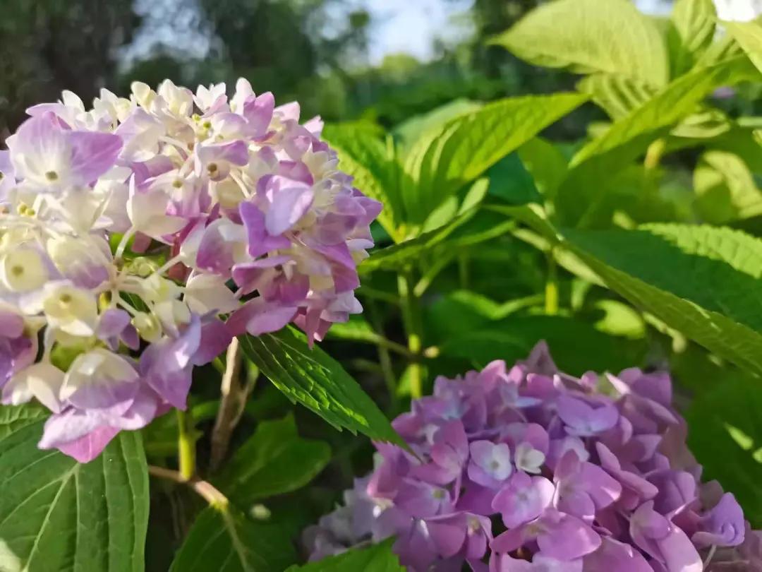 汉川5天周边游攻略,汉川徒步旅游攻略一日游