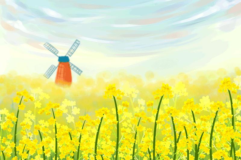 六年级上语文期末作文押题,期末作文题目押题六年级上册