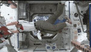 带孩子漫游世界十大博物馆,带孩子游世界奇观