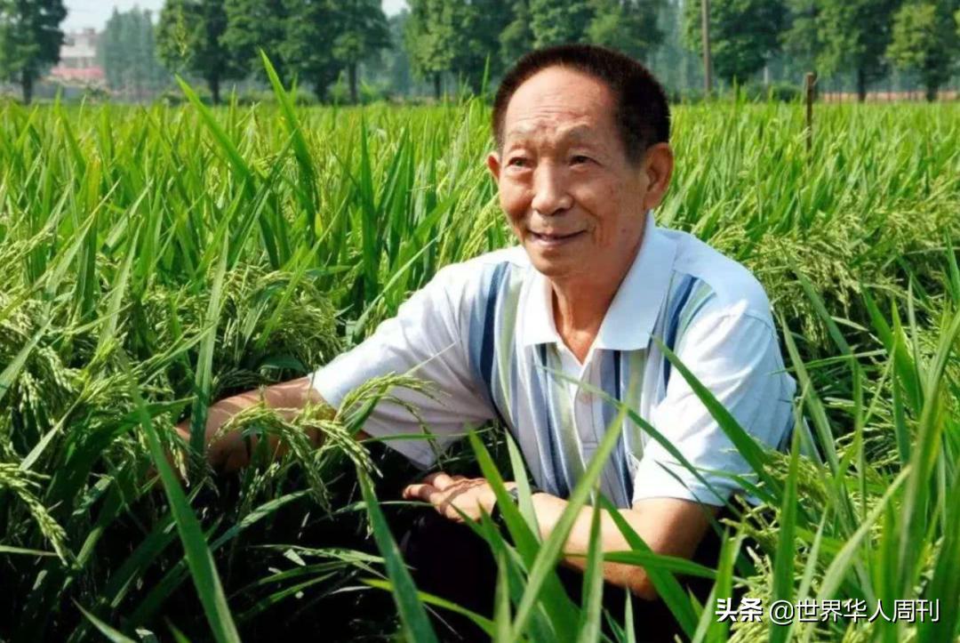 老人哭泣送别袁隆平,夫人泪目送别袁隆平