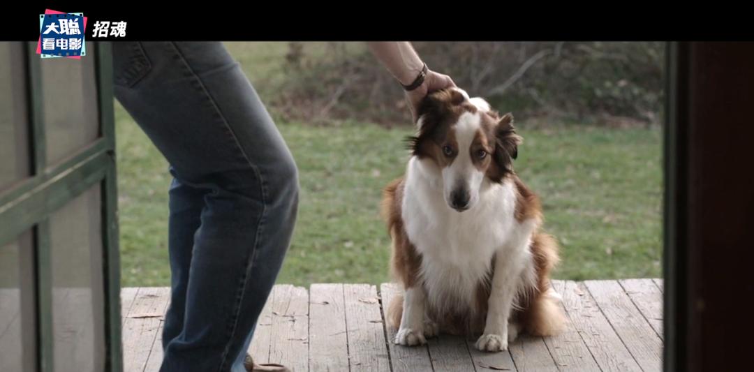 招魂一和招魂二招魂三,招魂一招魂二招魂三剧情