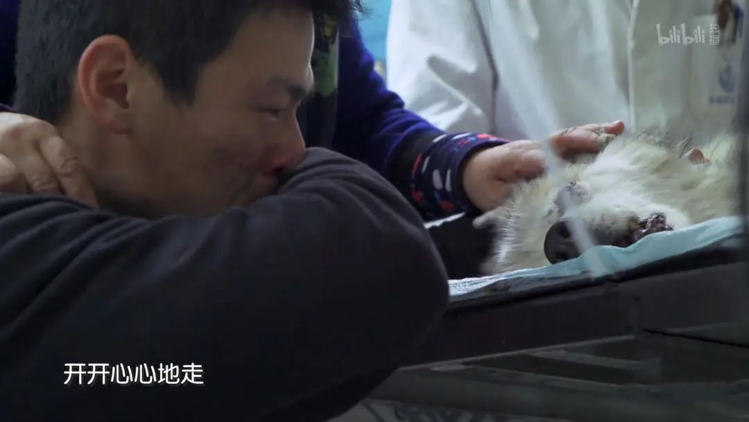 b站高分历史纪录片,2分钟一集的b站纪录片