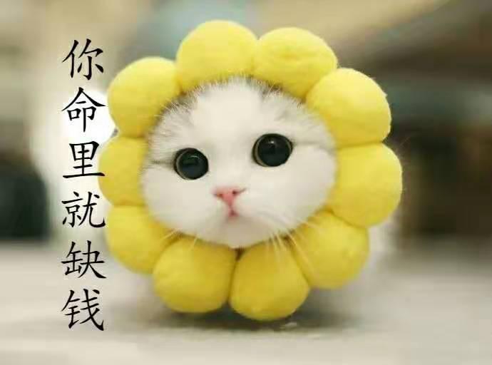 最令女人反感的微信头像有你吗,最让女生反感的微信头像