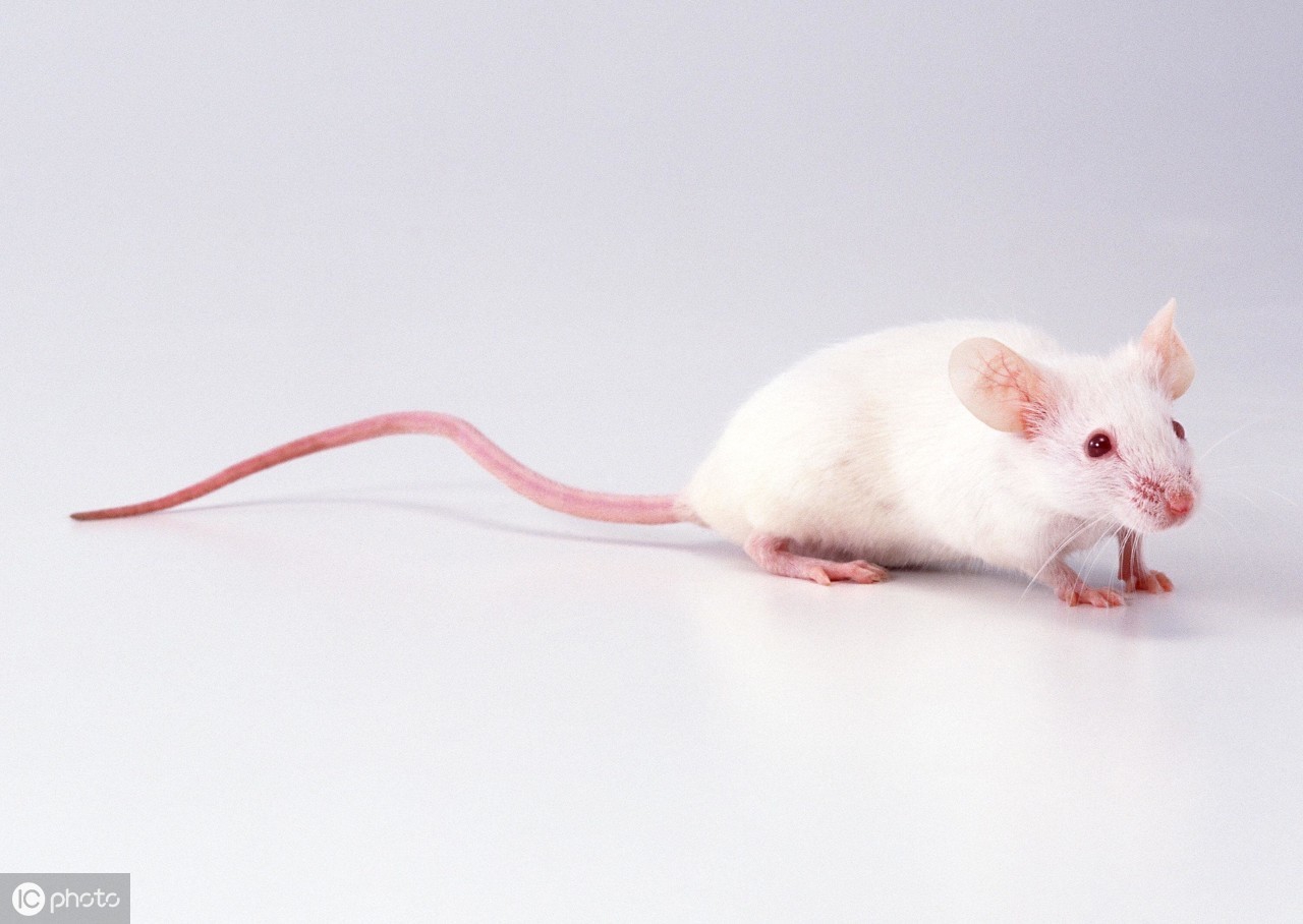 按键精灵逐条点击,按键精灵怎么点击动态的坐标