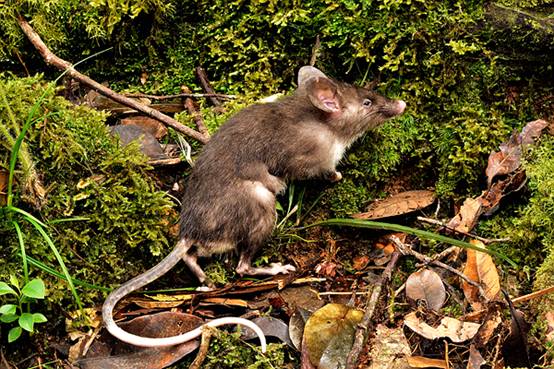 如何避免成为千篇一律的网红脸,怎么样打造网红脸