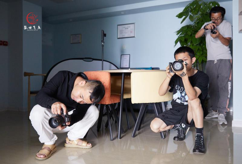 学摄影需要去培训班学吗,为啥要学摄影