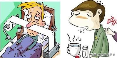 猫咪感觉鼻子不通气要不要吃药,猫咪鼻子有问题会出现什么症状