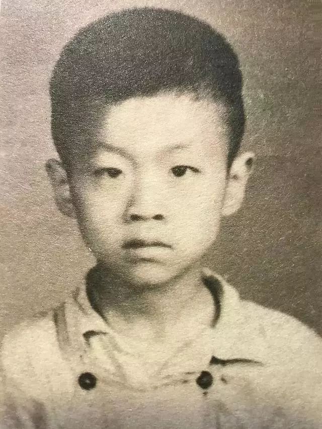 你好李银河王小波完整版,王小波和李银河儿子