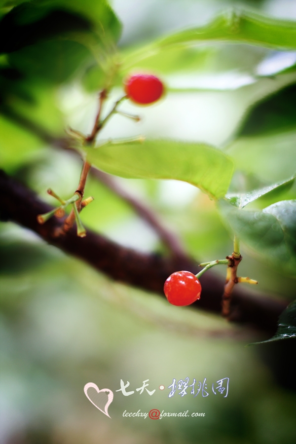 叫闺蜜的沙雕昵称两个字,沙雕又高级的昵称闺蜜