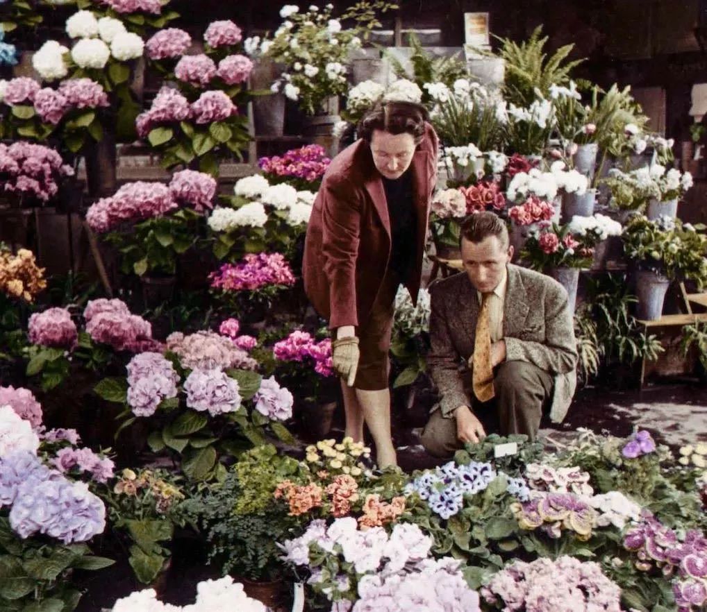 时尚圈顶奢品牌,时尚界的大牌有哪些