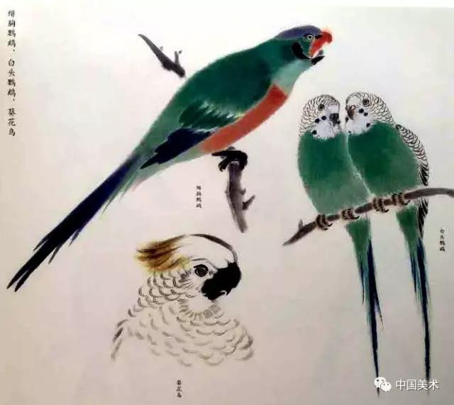 禽鸟画教程,最简单的禽鸟画法