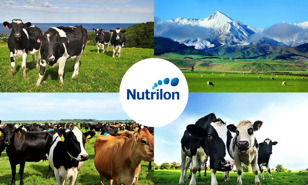 荷兰牛栏奶粉有什么不同,荷兰牛栏一岁宝宝首选哪个