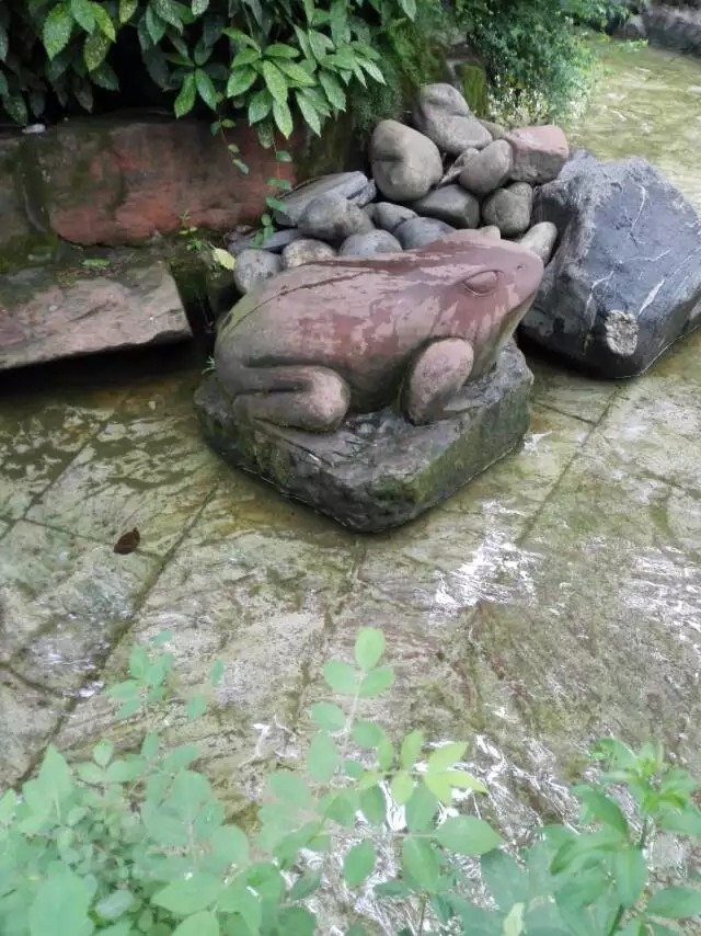 黄龙溪古镇到黄龙溪欢乐田园,黄龙溪古镇川西民俗文化街