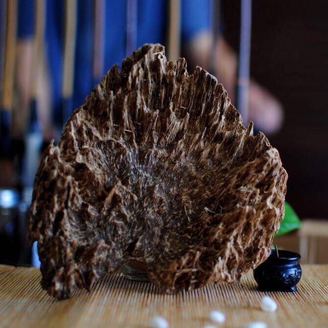 沉香有四要素就一定是真的吗,关于沉香一定要知道的知识