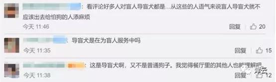 女子带导盲犬进海底捞被拒,盲人和导盲犬吃海底捞迷路