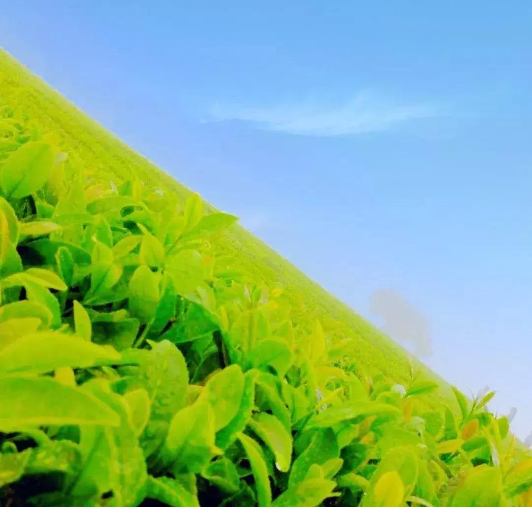 济州岛自由行详细攻略,济州岛自由行超实用攻略