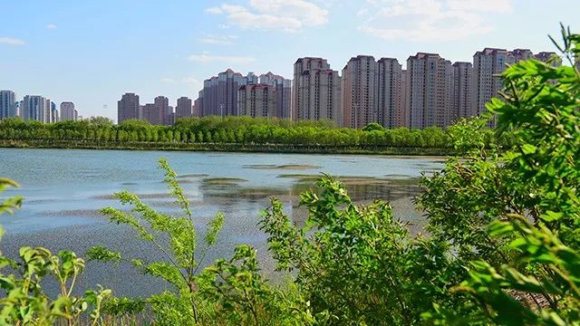 天津重点学校规划,津南区签约名校