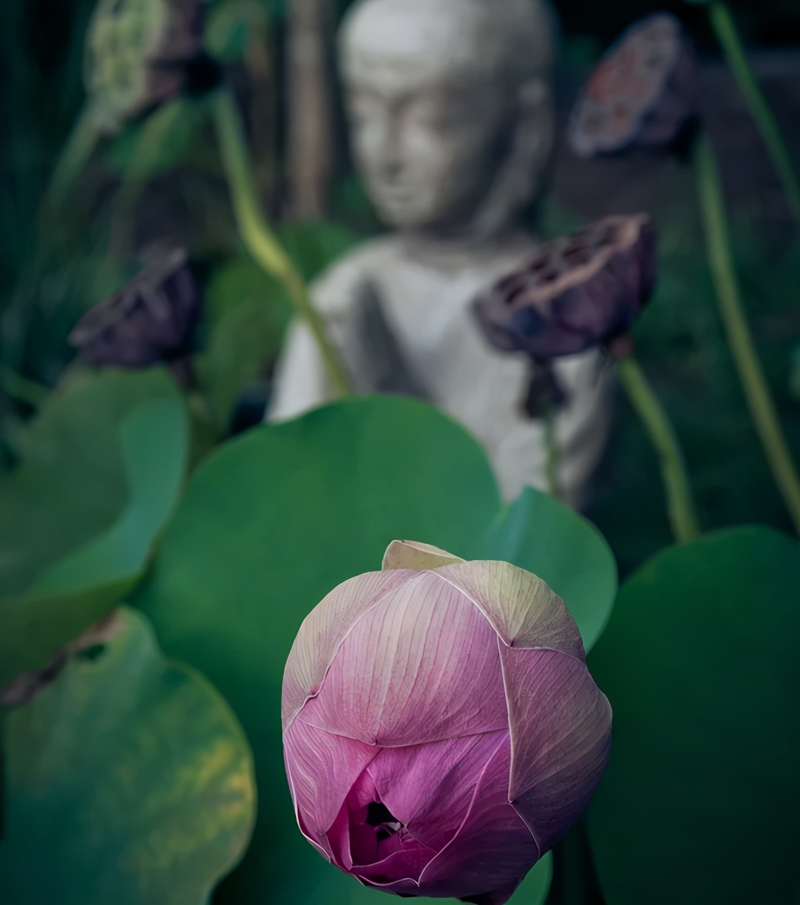 少女爱上老师不伦之恋，逃避婚姻堕下胎儿，治愈小说《催眠者》