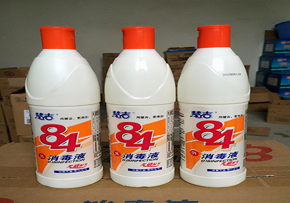 养宠知识狗狗发现呕吐怎么办,养宠小知识狗狗耳螨没精神怎么办