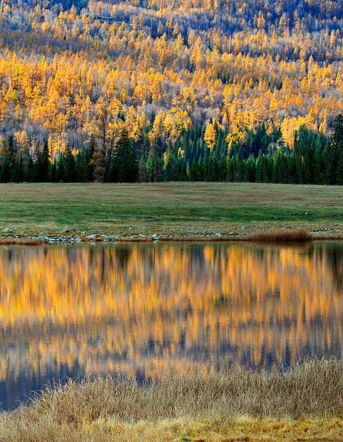 阿勒泰秋天有多美,秋天的新疆阿勒泰太美