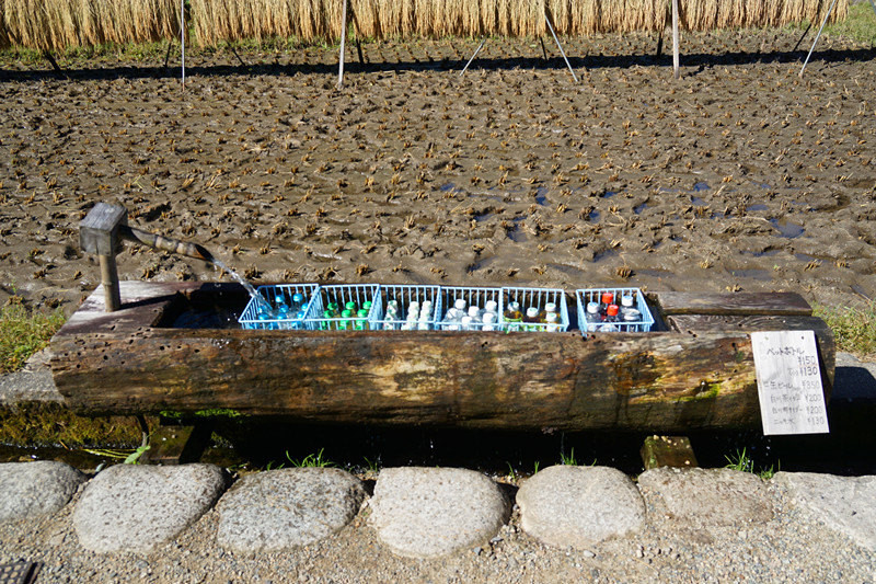 五天三晚之邂逅名古屋，新奇的日本之旅