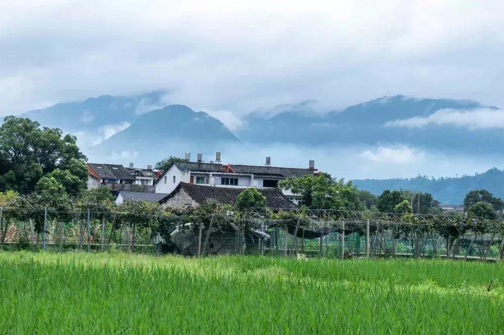 西昌市楠溪客栈民宿,温州楠溪月溪壹号民宿