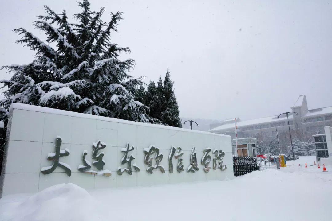 辽宁省民办大学（二）大连东软信息学院