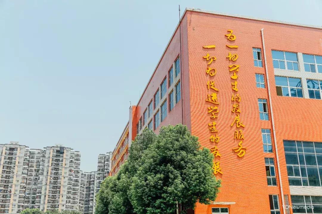 是我小瞧你了图片,是我小瞧你了换句话怎么说