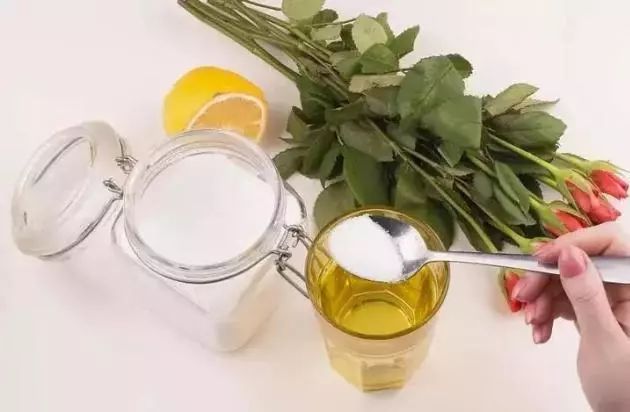 家里过期的消炎药养花有用吗,哪些过期药能用来养花