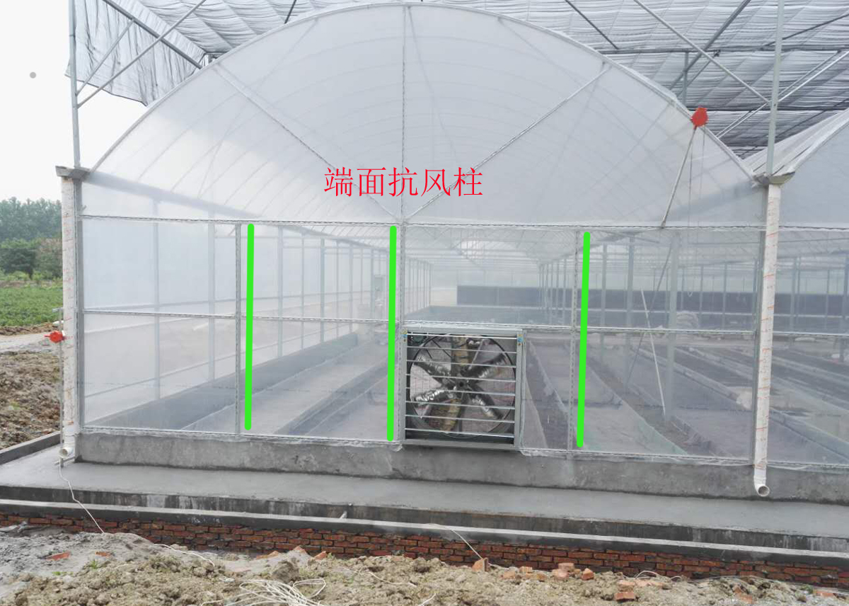 新型大型连栋温室大棚定制,专业生产养殖连栋温室大棚