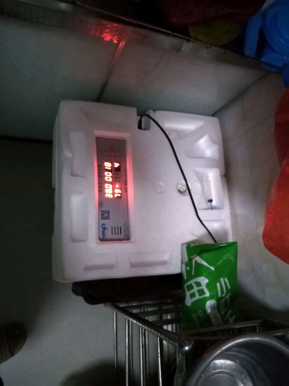 农家自繁自养本地土鸡简介,农村自孵自养纯土鸡