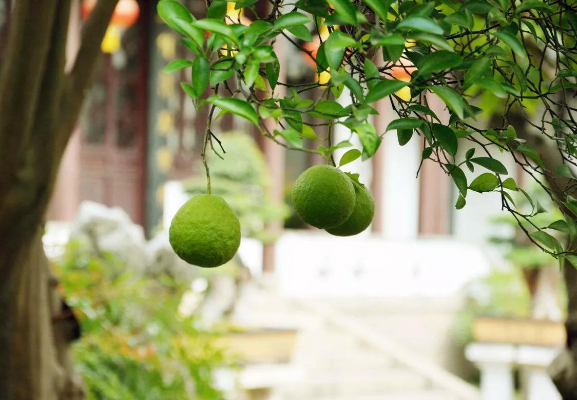 我们如何克服社交恐惧,自卑恐惧心理产生原因及克服对策