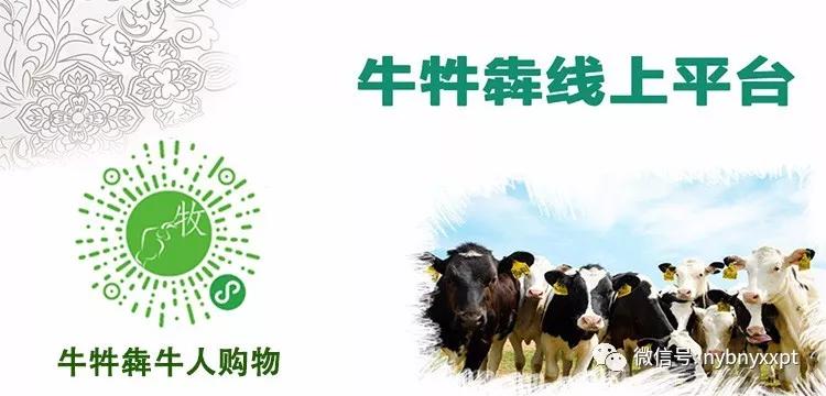 如何预防奶牛乳房炎,奶牛乳房炎发病率应控制在多少