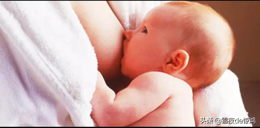 1500元可以直接喝到人乳,人乳的营养价值有那么高吗?