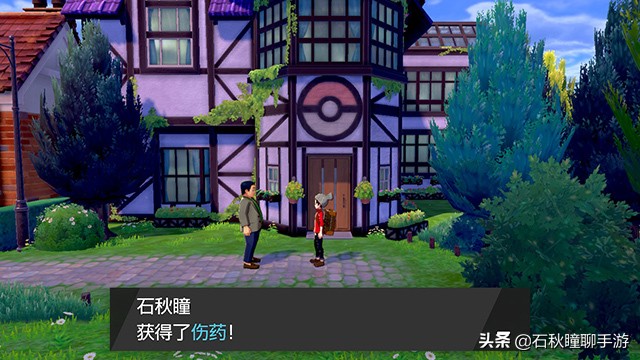 宝可梦剑盾开荒攻略,宝可梦剑新手攻略全流程