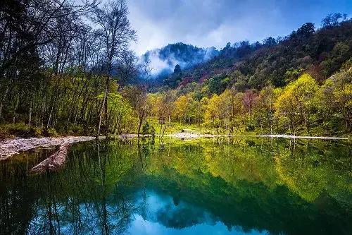 成都自驾百里杜鹃旅游攻略,万亩杜鹃花在青山幽谷