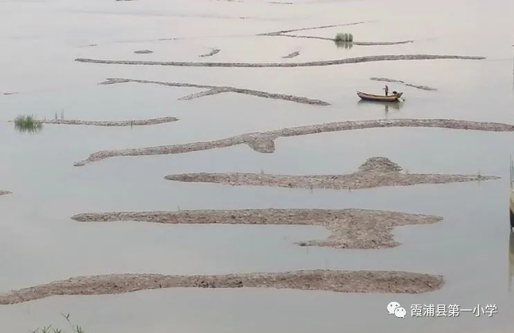 霞浦一中高一新生夏令营,霞浦县夏令营