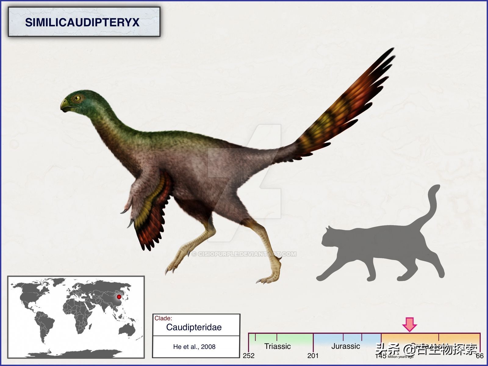 有羽毛和翅膀的恐龙叫什么恐龙,特厉害的恐龙是什么恐龙