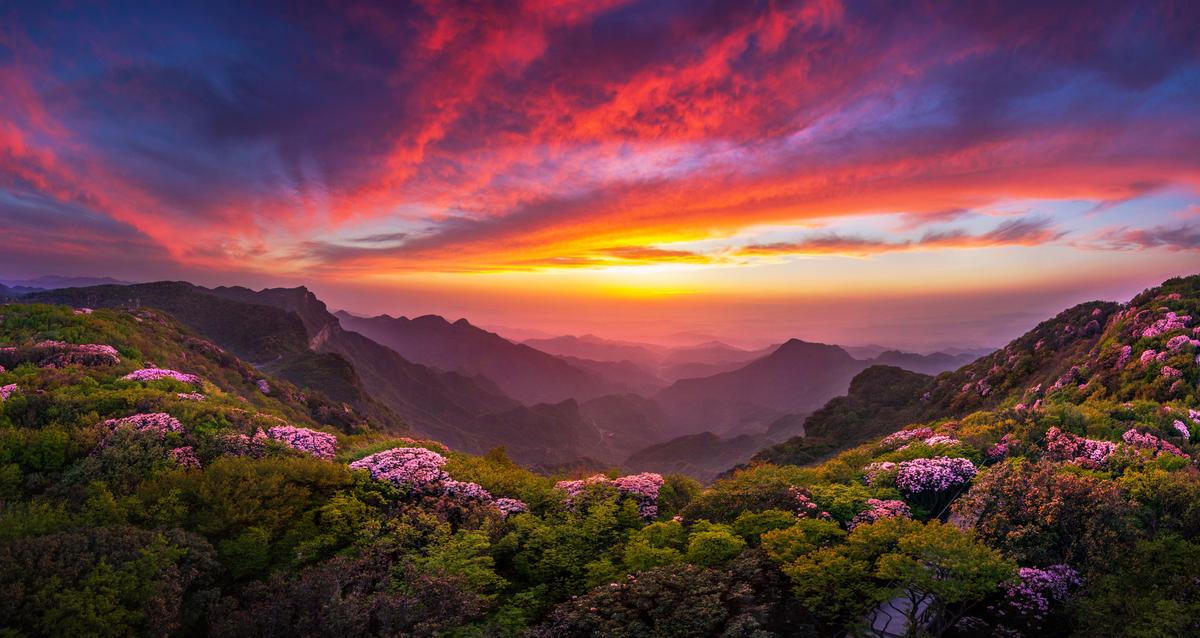 重庆之旅怎么样,重庆避暑5日游攻略从南川开始