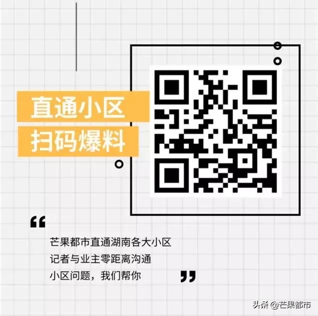 990米峡谷险峰翼装飞行、世界级大咖齐聚桥牌公开赛…湖南都市现场直播