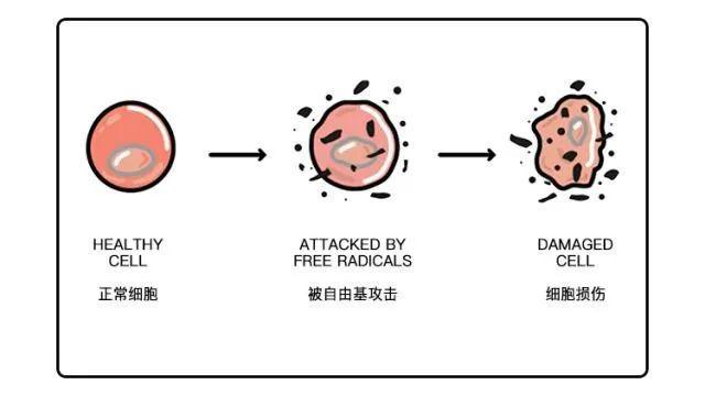 澳洲骨科执业医师,建议患者少吃米面糖,竟然被幕后黑手组织*害迫**