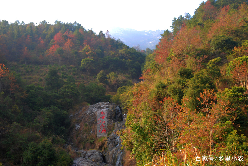 云髻山自然保护区游玩攻略,广东新丰云髻山风景区