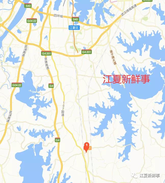 山坡高中复校,山坡高中恢复办学