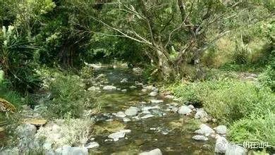 山蚂蝗为什么吸血,山蚂蟥一种吸血的动物