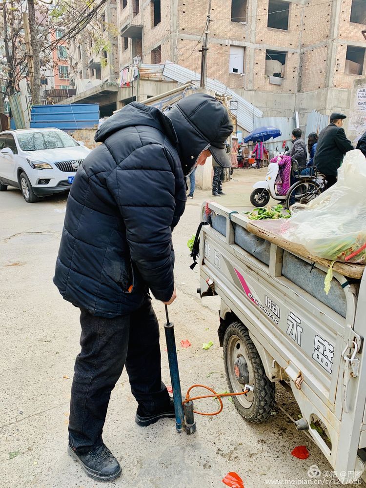 涧西牡丹广场老照片,洛阳牡丹手机拍照