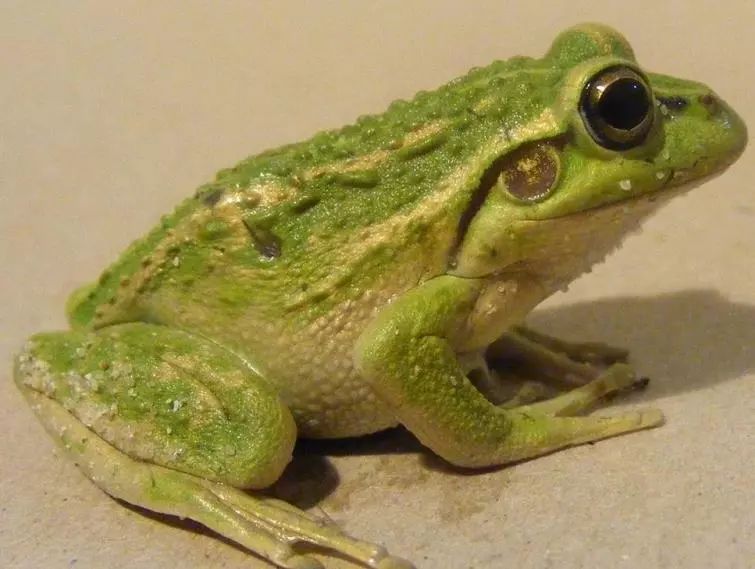 那些属于90后的童年记忆,盘点那些令人怀念的童年记忆