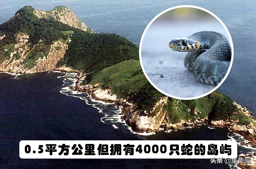 有趣的网络小知识,网络世界确实很有趣